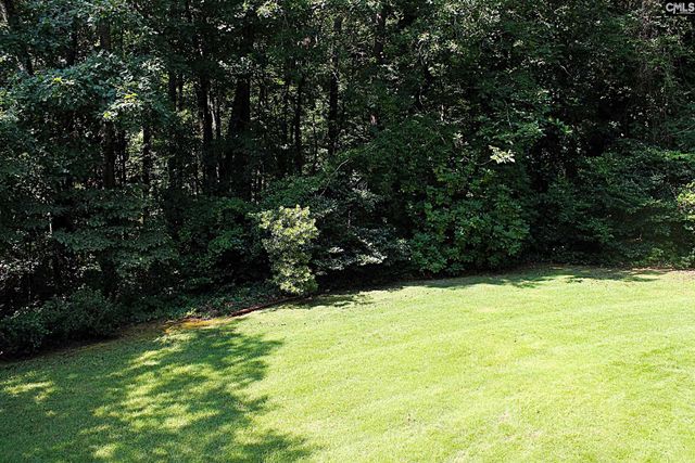 155 Pinewood Drive, Chapin, SC 29036