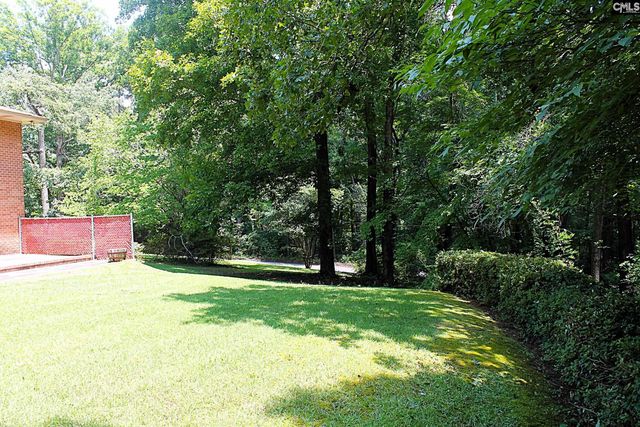 155 Pinewood Drive, Chapin, SC 29036