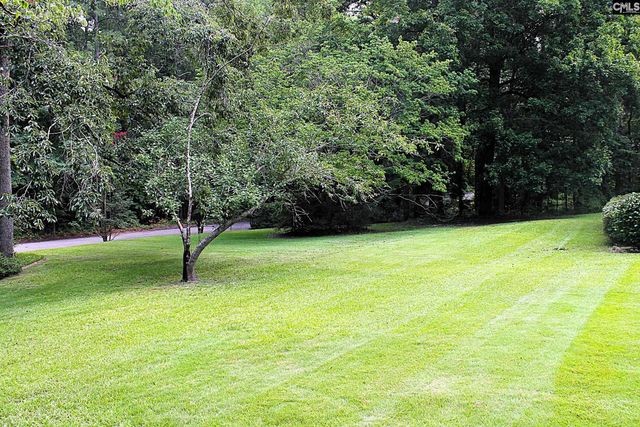 155 Pinewood Drive, Chapin, SC 29036