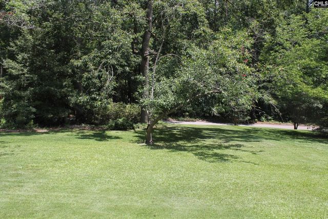 155 Pinewood Drive, Chapin, SC 29036