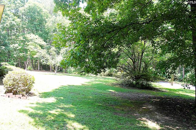 155 Pinewood Drive, Chapin, SC 29036