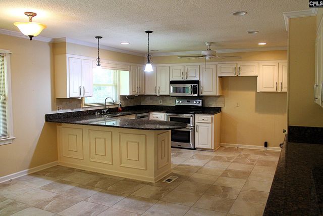 155 Pinewood Drive, Chapin, SC 29036