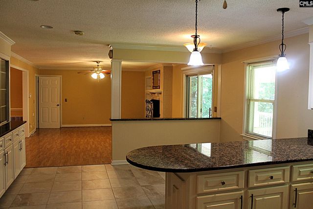 155 Pinewood Drive, Chapin, SC 29036