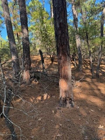 Lot 1395 Kaupa CT, Bastrop, TX 78602
