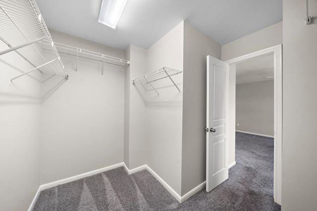 8342 Cassidy Creek Court, Houston, TX 77095