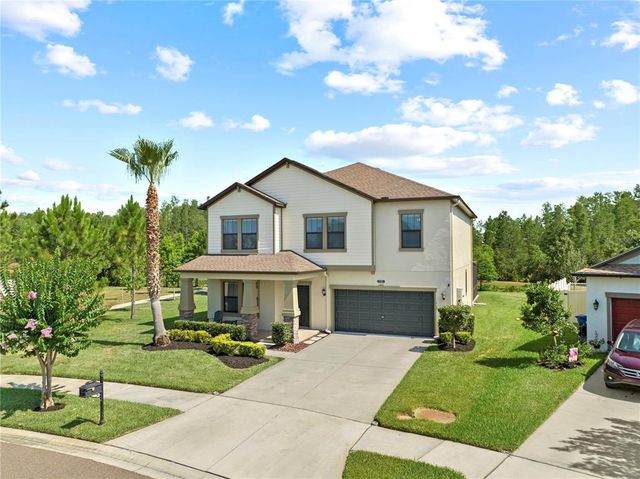 21383 SOUTHERN CHARM DRIVE, Land O Lakes, FL 34637