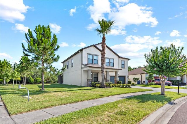 21383 SOUTHERN CHARM DRIVE, Land O Lakes, FL 34637