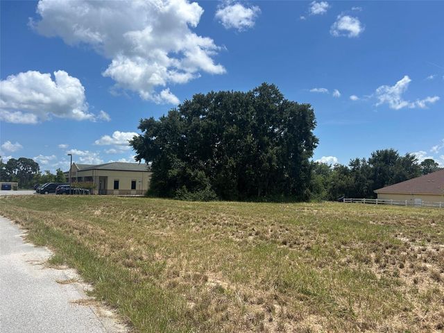 PROFESSIONAL DRIVE, Leesburg, FL 34748
