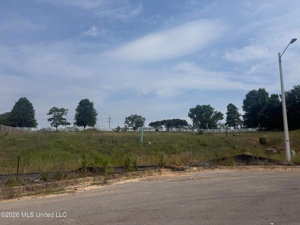 2572 Beauvior Drive, Hernando, MS 38632 — exterior