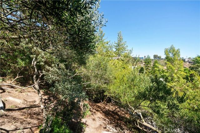 2210 Bridge, Laguna Beach, CA 92651