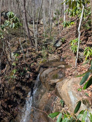 00 Bear Wallow Trail, Canton, NC 28716