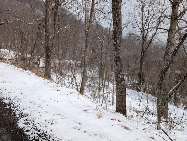 00 Bear Wallow Trail, Canton, NC 28716