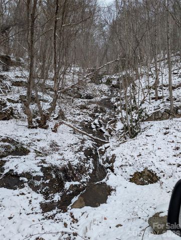 00 Bear Wallow Trail, Canton, NC 28716