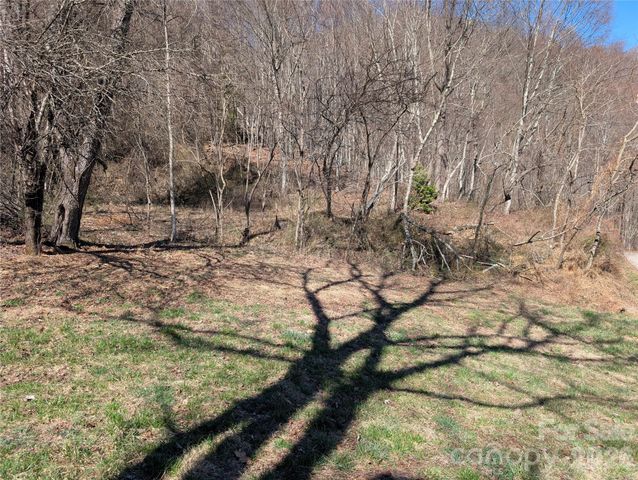 00 Bear Wallow Trail, Canton, NC 28716