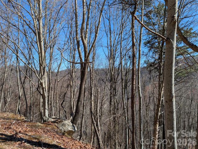 00 Bear Wallow Trail, Canton, NC 28716