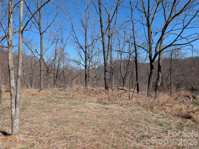 00 Bear Wallow Trail, Canton, NC 28716