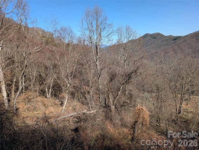 00 Bear Wallow Trail, Canton, NC 28716