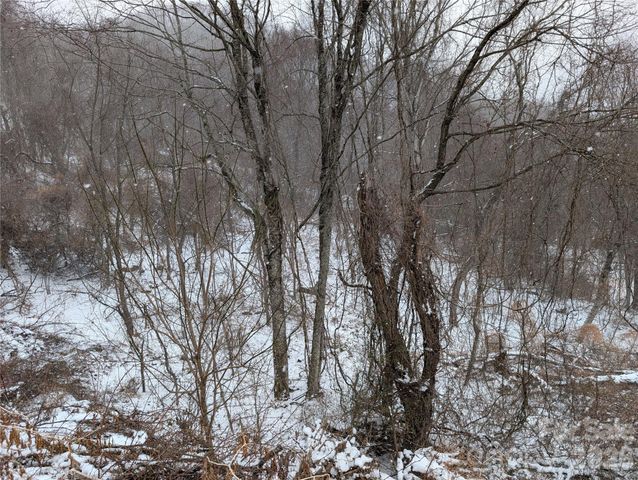 00 Bear Wallow Trail, Canton, NC 28716