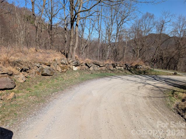 00 Bear Wallow Trail, Canton, NC 28716