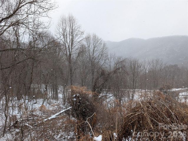 00 Bear Wallow Trail, Canton, NC 28716