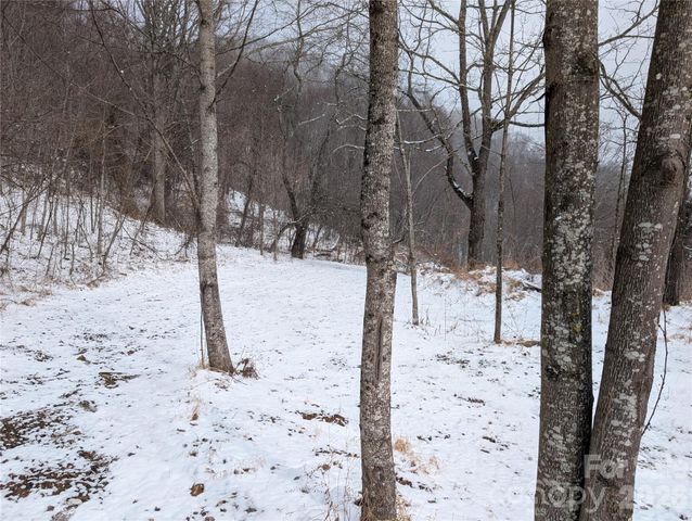 00 Bear Wallow Trail, Canton, NC 28716