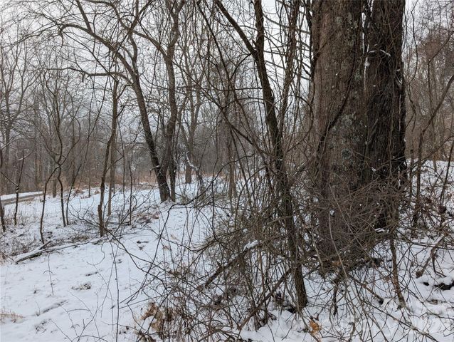 00 Bear Wallow Trail, Canton, NC 28716