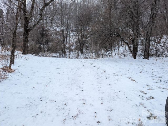 00 Bear Wallow Trail, Canton, NC 28716