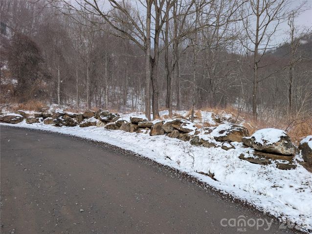 00 Bear Wallow Trail, Canton, NC 28716