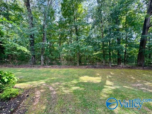 22388 Monterey Drive, Athens, AL 35613