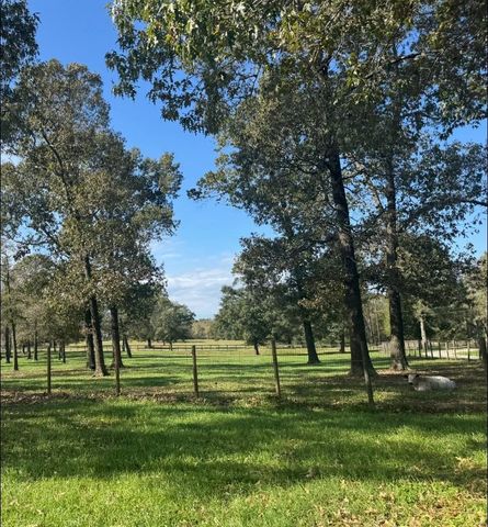 12494-725 Hill Creek Road, Montgomery, TX 77356