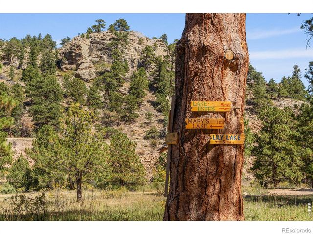 303 Green Pine Court, Estes Park, CO 80517