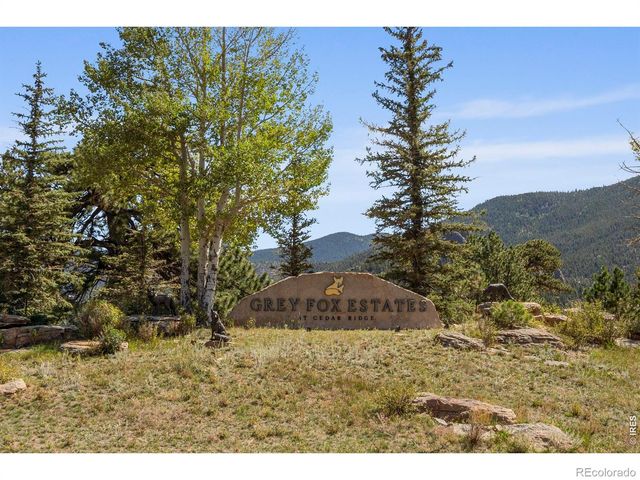 303 Green Pine Court, Estes Park, CO 80517