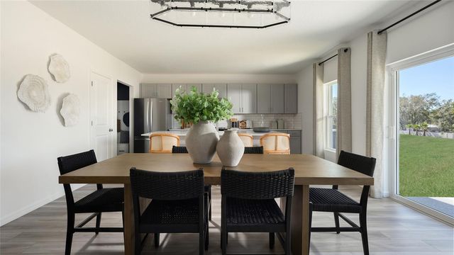 31658 BARONNE STREET, Wesley Chapel, FL 33545