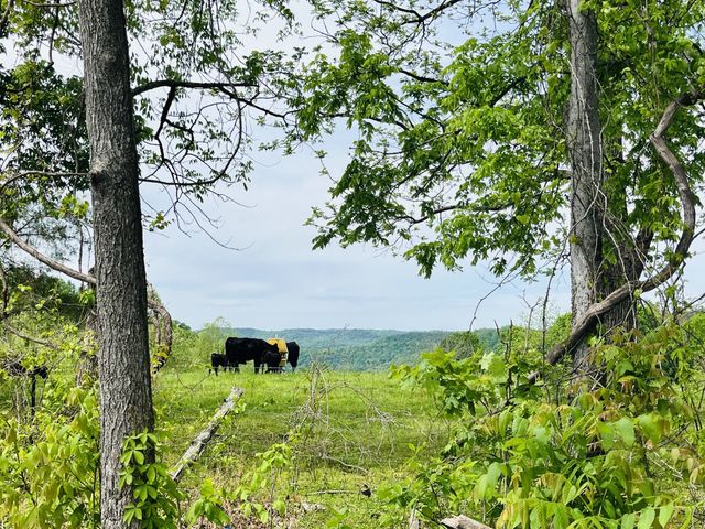 518 Beaver Lane, Gainesboro, TN 38562