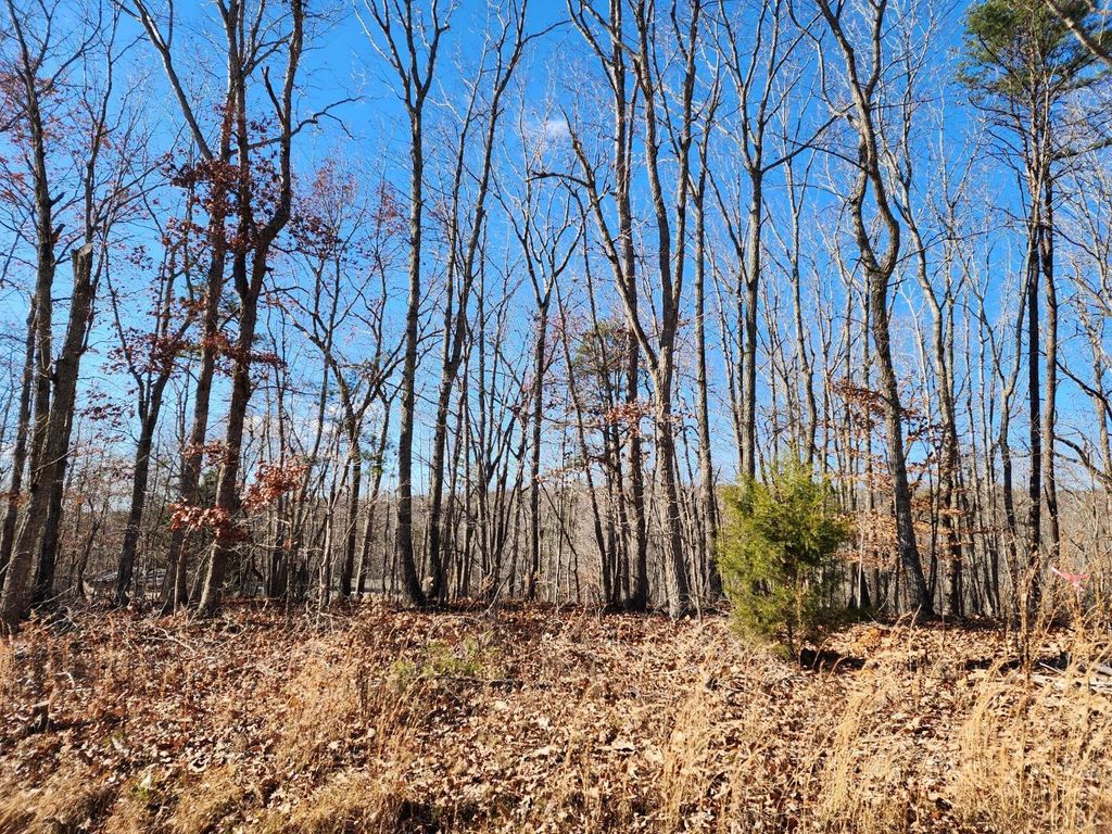Image 2 of property listing at 0 Earley Farm Road, Amherst, VA 24521