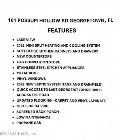 101 POSSUM HOLLOW Road, Georgetown, FL 32139