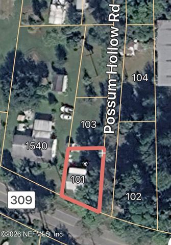 101 POSSUM HOLLOW Road, Georgetown, FL 32139