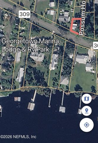 101 POSSUM HOLLOW Road, Georgetown, FL 32139