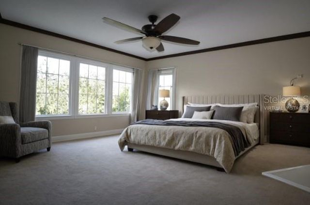 2465 HERON TERRACE 202B, Clearwater, FL 33762