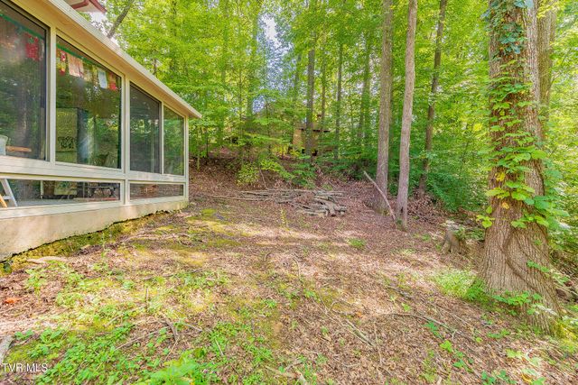 625 Dover Avenue, Mount Carmel, TN 37645
