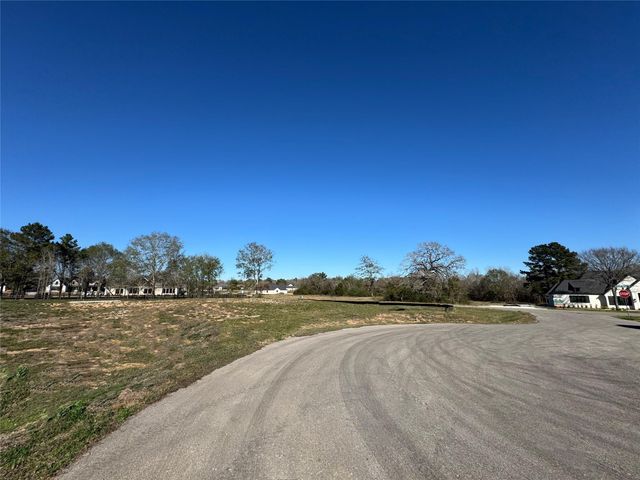 25004 Chapel Bend Court, Montgomery, TX 77356