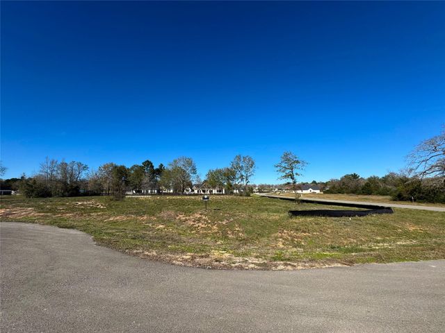 25004 Chapel Bend Court, Montgomery, TX 77356