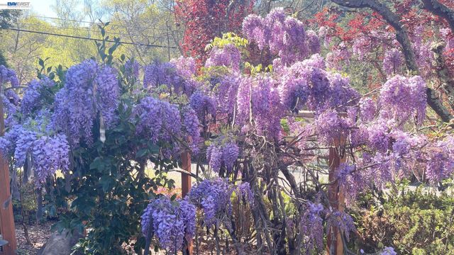 275 Orchard Rd, Orinda, CA 94563