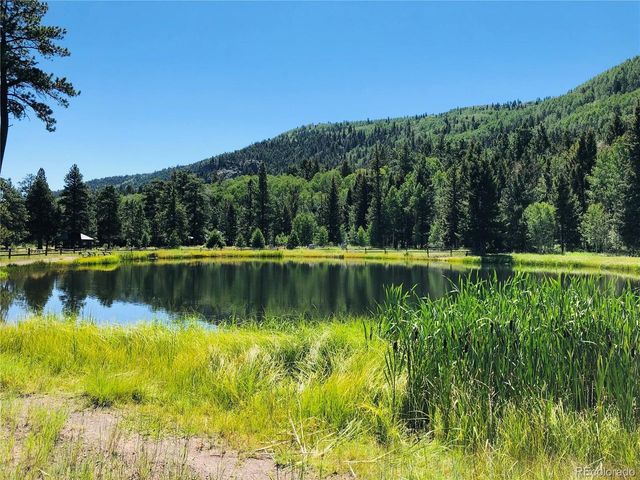172 Elk Meadow Run, Antonito, CO 81120