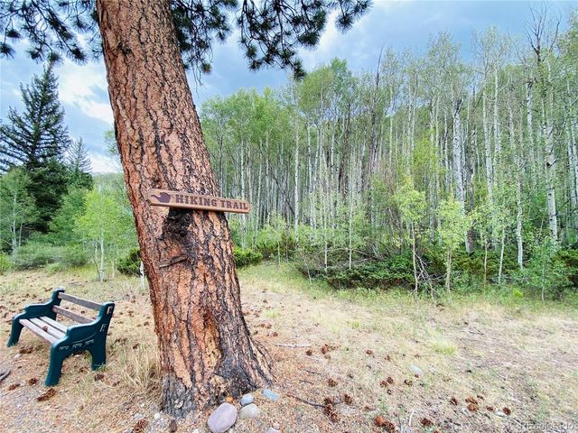 172 Elk Meadow Run, Antonito, CO 81120