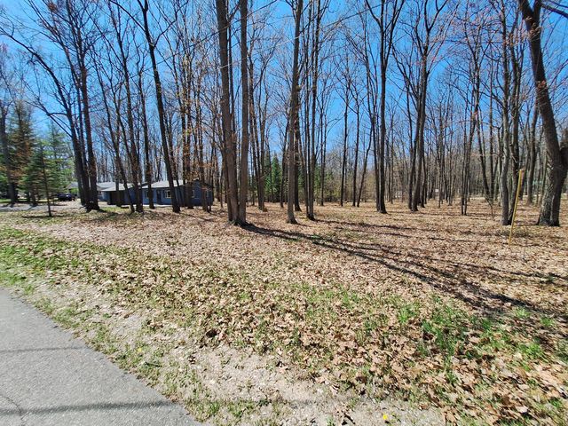 121 Caduca Drive, Roscommon, MI 48653