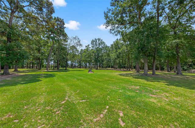 16126 Tree Monkey Road, Conroe, TX 77303