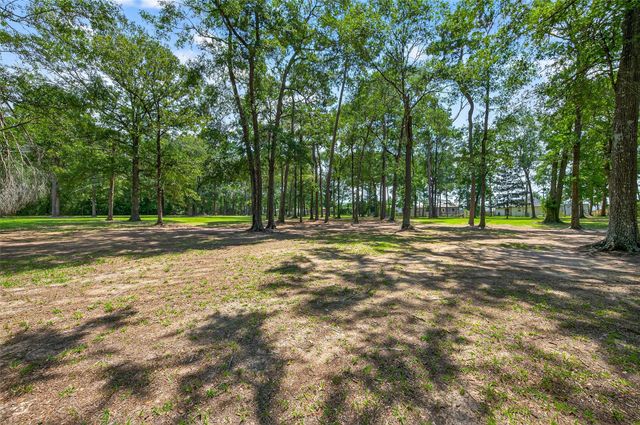 16126 Tree Monkey Road, Conroe, TX 77303