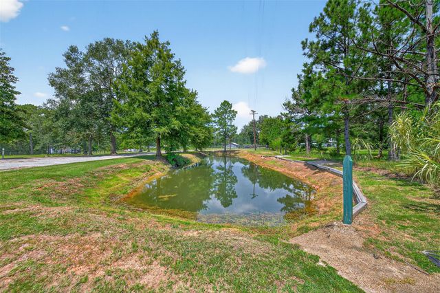 16126 Tree Monkey Road, Conroe, TX 77303