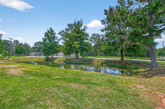 16126 Tree Monkey Road, Conroe, TX 77303